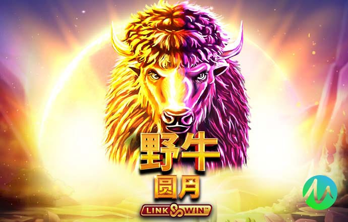 b体育登录